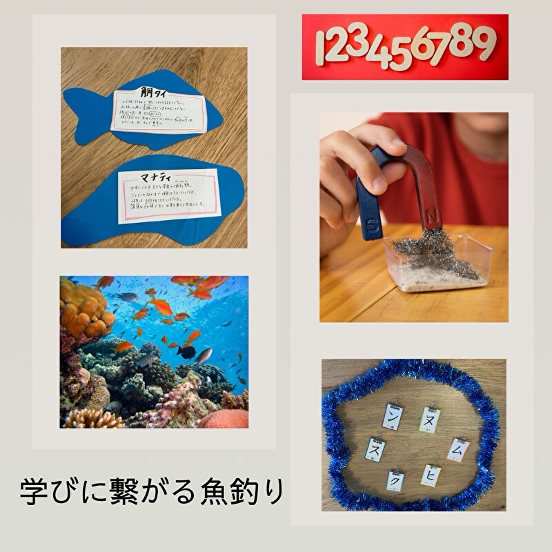 魚カードや磁石やカタカナカードの画像