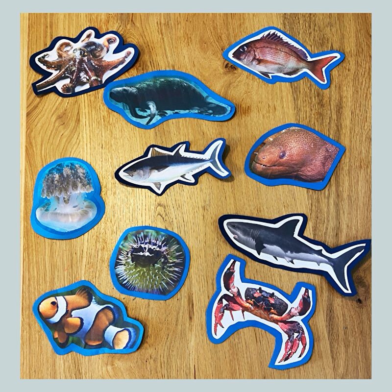 プリンターで印刷した様々な海の生き物