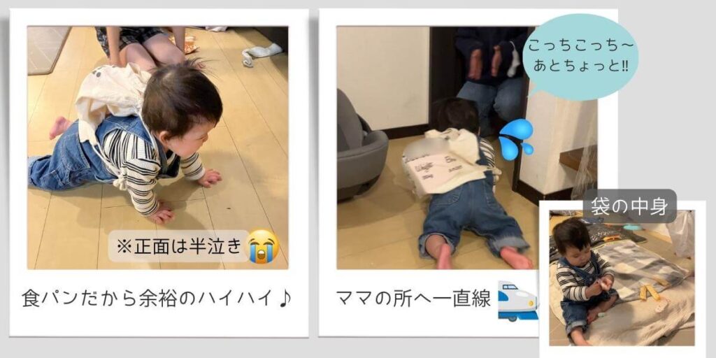 1歳誕生日で一升パンを背負ってハイハイする様子